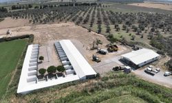Edremit’te sokak hayvanlarına yüksek standartlı barınak