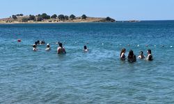 İzmir'de gençlere ücretsiz deniz etkinlikleri! Detaylar belli oldu