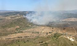 İzmir'in Seferihisar ilçesinde yangın! Havadan karadan müdahale!