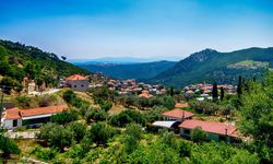 Kamp yapmak isteyen çadırını alıp İzmir'in bu şirin köyüne koşuyor: Şelalesi bile var!