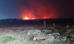 İzmir Menemen'de yangın! Ekiplerin müdahalesi engebeye takıldı