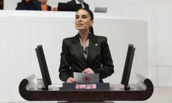 Muğla CHP Milletvekili Gizem Özcan'dan madencilik teklifine tepki!