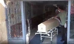 Sivas'ta kene kabusu! Bir bir can alıyor