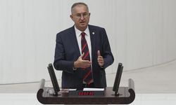 Sertel’den iktidara mesaj: Giderken CHP’yi karıştırmak istiyorlar