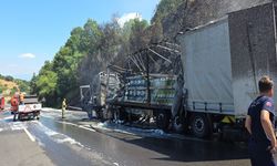 Motor yağı yüklü TIR alev aldı, 10 dönüm orman yandı!