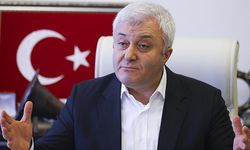 CHP'li Tuncay Özkan'dan çağrı: Zeytin ağaçlarına merhamet diyorum!