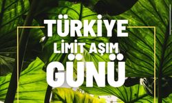 Türkiye doğal kaynak limitini yılın yarısında aştı: Gelecek nesillerden borçlanıyoruz!
