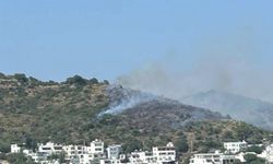 Bodrum’da makilik yangını: Havadan ve karadan yoğun müdahale!