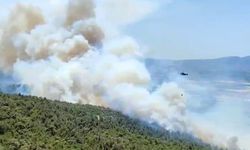 Manisa’daki orman yangını yeniden başladı! İzmir orman ekipleri harekete geçti!