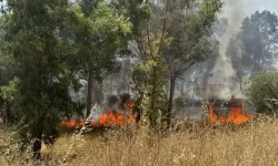 Yazın İlk Alarmı: İki günde 111 yangın