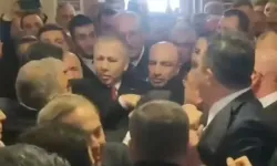 TBMM komisyonunda zeytinlik krizi: Tartışma arbedeye dönüştü!