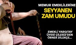 Memur emeklilerine seyyanen zam için özel dilekçe! Emekli Yargıtay Üyesi Çilesiz: İsteyen açar, isteyen açmaz!