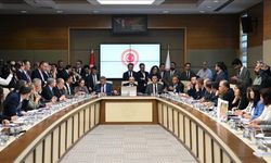 Zeytinliklerin kaderini belirleyecek maddeye komisyondan karar çıktı!