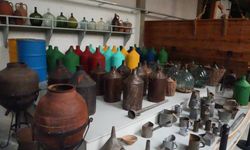 İzmir Urla’da binlerce yıllık zeytin kültürü hayat buluyor!