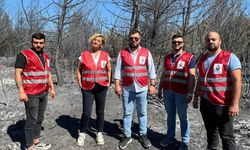 İzmir’de alevlerin ardında ne var? Zafer Partisi’nden sabotaj çıkışı!