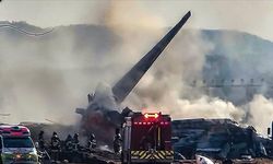 Hindistan'da 260 kişinin can verdiği uçak kazasıyla ilgili sır perdesi aralanıyor
