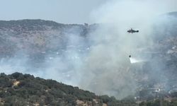 Milas’ta ormanlık alanda yangın… Müdahale sürüyor
