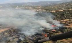 Aydın'da zeytinlik alanda yangın paniği: Havadan ve karadan müdahale ile söndürüldü