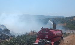 Balıkesir Susurluk'ta yangın panik yarattı!