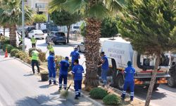 Didim baştan aşağı yenileniyor: Temizlik ve peyzajda büyük hamle