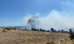 Ayvacık'ta orman alevlere teslim: Ekipler müdahale ediyor!