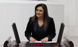 CHP İzmir Milletvekili Kılıç :"MESEM’lerin sayısının artırılması, istihdam mühendisliğidir"