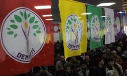 Yazar Ali Süslü'den dikkat çeken soru: DEM Parti seçmeni şimdi ne yapacak?