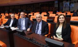CHP’li Sevda Erdan Kılıç’tan ‘zeytinlik yasası tepkisi: Bu daha bitmedi
