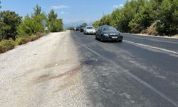 Seydikemer'de yolun karşısına geçmek isterken son nefesini verdi!