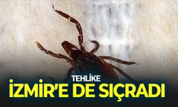 İklim değişti, tehlike İzmir'e de sıçradı!
