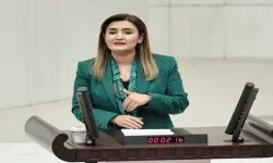 CHP İzmir Milletvekili Kılıç: "Önemli ve gecikmiş bir adımdır!"