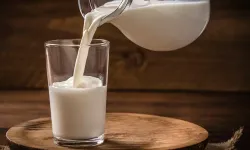 Bakanlıktan süt devlerine rekor ceza!