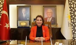 İYİ Partili Doğan'dan, ABD resepsiyonuna eleştiri yağmuru... "Biz o masada yoktuk!"