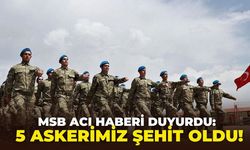SON DAKİKA 5 askerimiz şehit oldu!