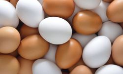 Kahverengi yumurta daha sağlıklı sanılıyordu: Beyaz yumurtayla arasındaki gerçek fark ne?