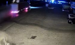 Çay’da tır faciası: Kaçış İzmir’de son buldu!