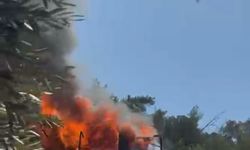Bodrum'da ev yangını orman felaketine dönüşmeden söndürüldü!