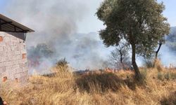 Bodrum’da otluk ve zeytinlik alan yandı: 10 dönüm zarar gördü