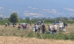 Çiftçi ürününü satamayınca vatandaşa ücretsiz dağıttı!