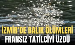 İzmir Körfezi’nde toplu balık ölümleri ve kötü koku alarmı