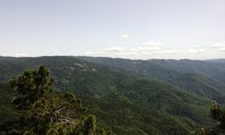 Kazdağları, Türkiye’nin jeolojik ve ekolojik hazinesi