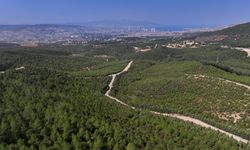 İzmir'de 16 sene önce yanan o yer küllerinden doğdu!