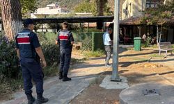 İzmir'de yürekleri sızlatan olay! 10 köpek 5 kedi zehirlenerek can verdi!