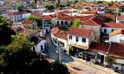 İzmir’in bu köyünde zeytini dalından koparıp yiyorlar