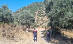 Aydın jandarması orman yangınlarına karşı nöbette
