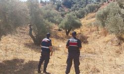 Aydın'da ormanlar havadan korunuyor