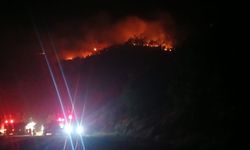 Malatya’daki 9 saatlik orman yangınına havadan ve karadan müdahale