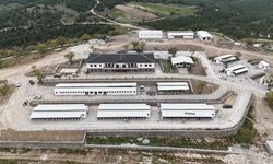 Manisa’da sahipsiz hayvanlar için doğal yaşam alanları denetlendi!