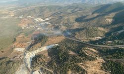 Milas’ta zirai alan yangını kontrol altında!