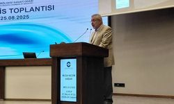 Sektör temsilcisi ‘Çeşme’nin içine ettiler’ dedi ve ekledi: Balık ölümlerin iki sebebi var!